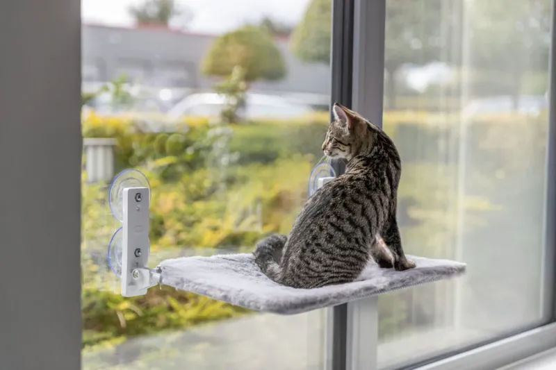 Fenster-Liegeplatz für Katzen mit Saugnäpfen und Wendebezug